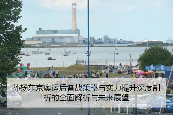 孙杨东京奥运后备战策略与实力提升深度剖析的全面解析与未来展望
