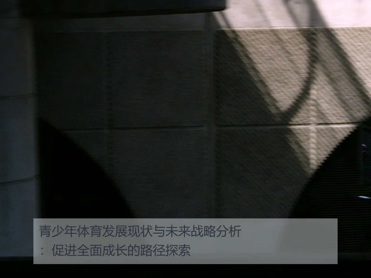 青少年体育发展现状与未来战略分析：促进全面成长的路径探索